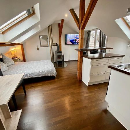Wohnen Ueber Den Daechern Von Ravensburg, Stadtnah, Kamin, Klima Lägenhet Exteriör bild